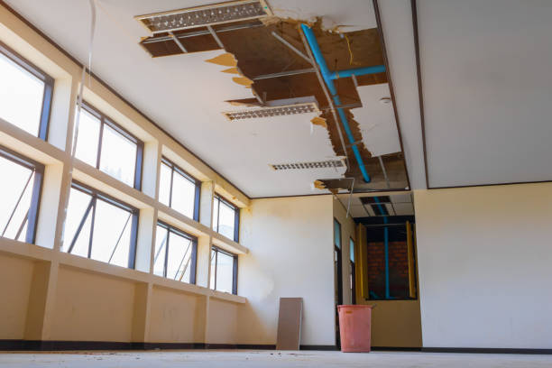 Best Residential water damage restoration  in Valley City, ND