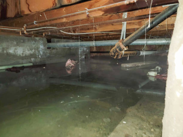 Best Local water damage restoration  in Valley City, ND