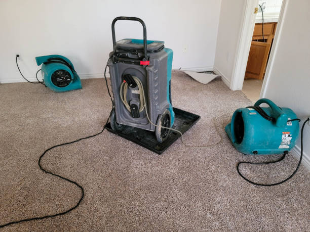 Best Mold removal after water damage  in Valley City, ND