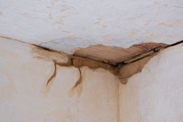 Best Residential water damage restoration  in Valley City, ND