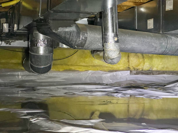 Best Flood damage cleanup  in Valley City, ND