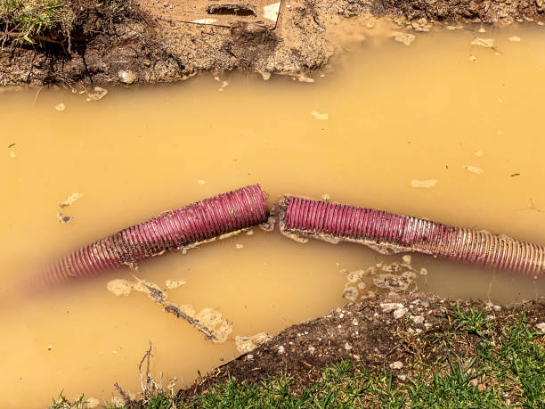 Best 24-hour water damage restoration  in Valley City, ND