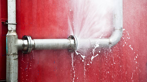 Best Water damage cleanup near me  in Valley City, ND